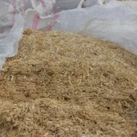 کاه کوبیده گندم