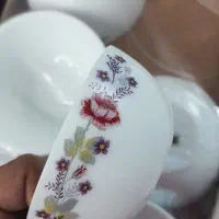 ماست خوری ارکوپال