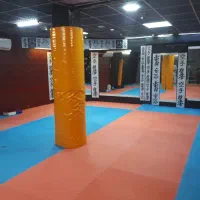 آموزش mma و دفاع شخصی