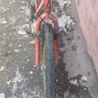 دوچرخه 24|دوچرخه، اسکیت، اسکوتر|تبریز, |دیوار