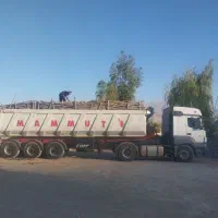 خرید و فروش چوب ودرخت در اهواز ایذه رامهرمز