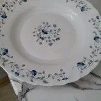 پیش دستی