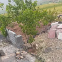 باغ-3500متری