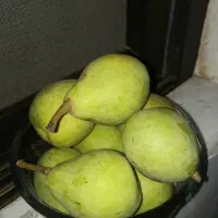 گلابی محلی تازه
