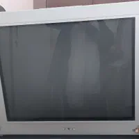 تلویزیون