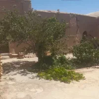 خانه-قدیمی-در-گز-برخوار