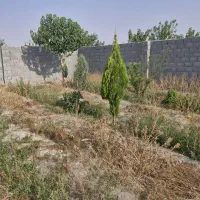 چهار دیواری باغی