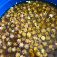 گل سیر|خوردنی و آشامیدنی|طارم (زنجان), |دیوار