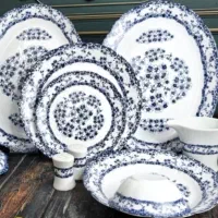 سرویس آرکوپال زیبا