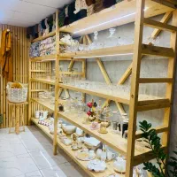 دکور|فروشگاه و مغازه|بوشهر, |دیوار