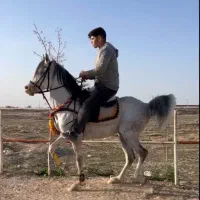 نریان رقاص و هنرمند