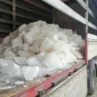 نمک دام و طیور