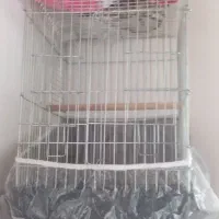 قفس کاسکو