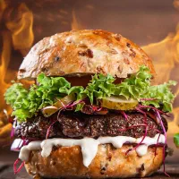 صندوقدارخانم  فرکار ساندویچ  سالندار شاگرد ساده