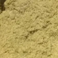 کاه عدس