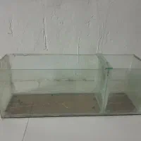 آکواریوم کوچک