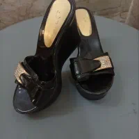 کفش مجلسی
