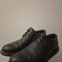کفش چرم گاوی