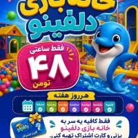 خانه بازی دلفینو