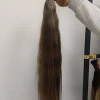 فرش|فرش|تربت جام, حافظ|دیوار