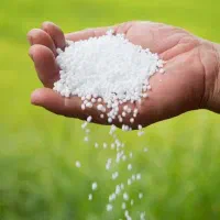 کود شیمیای سفید  پردیس