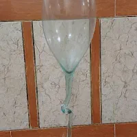 تنگ ماهی