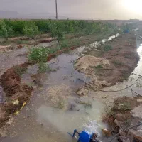 فروش باغ و باغچه ۲۵۳ متری نقد و اقساط با چک
