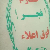 برنج طارم فجر شمال کاملا ضمانت شده