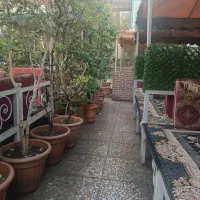 آشپز و گارسون