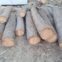 خریدار چوب کاج و صنوبر و کبوده و بید و سرو و وسک