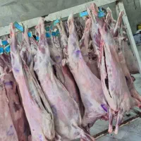 گوشت گوساله و گوسفندی درجه ۱ جهت نذورات شما عزیزان
