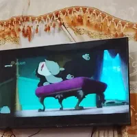 تلویزیون ۴۳اسنوا