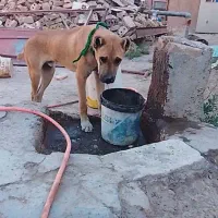 فروش فوری