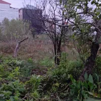 ۱۴۰ متر  فرهنگیان ، پشت باشگاه یزدان