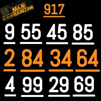 917.499.29.69