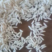 برنج هاشمی امساله