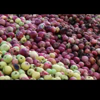 خرید بادریز