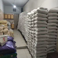 برنج طارم