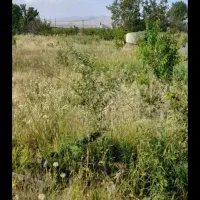 فروش-با-غ-شهر-یاوران-شهرداری