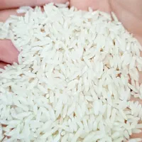 برنج طارم طلایی و هاشمی
