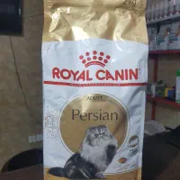 پرشین آدالت رویال