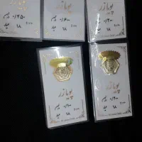 سکه پارسیان طلا