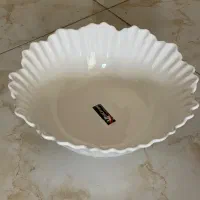 ظرف پذیرایی وسرو