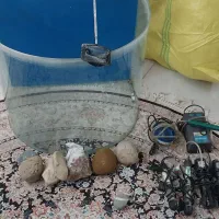 اکواریوم
