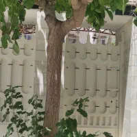 کلنگی-3دانگی-در-کوچه-های-قائم