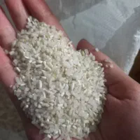 برنج سرلاشه و نیم دانه فجر درجه 1|خوردنی و آشامیدنی|مشهد, شهید قربانی|دیوار