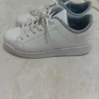 کفش کتونی