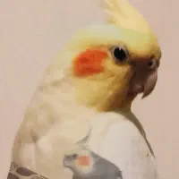 گم شده در حوالی قاسم آباد