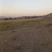 زمین-باغی-کشاورزی