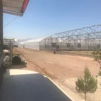 استخدام نیروی فنی و کارگر گلخانه